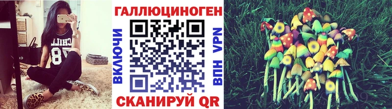 Псилоцибиновые грибы Cubensis  Чита 